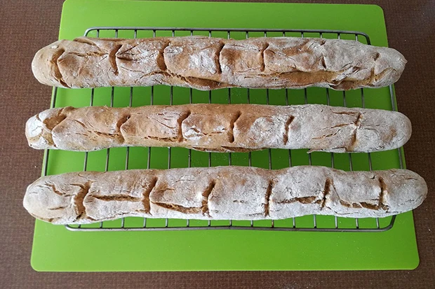 Roggen-Dinkel-Baguette mit Natron