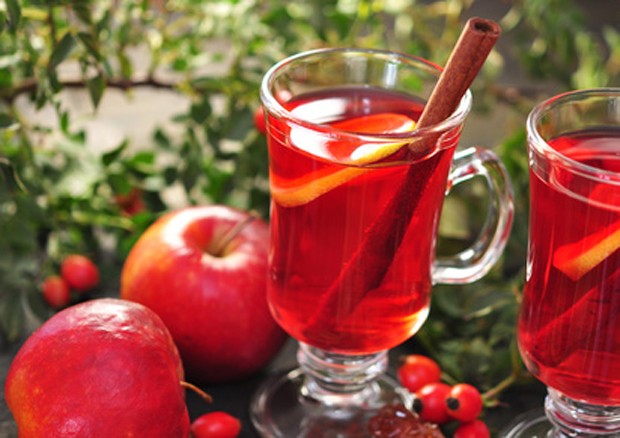 Wintertee mit Hagebutte und Apfel