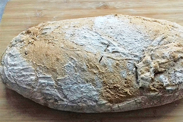 Weizenvollkornbrot