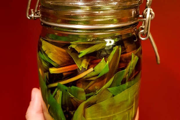 Bärlauch in Olivenöl eingelegt