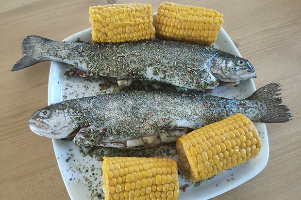 Gegrillte Regenbogenforelle