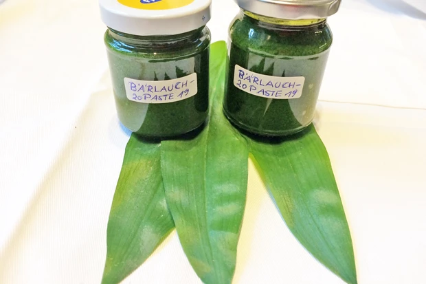 Bärlauch-Paste mit Rapsöl