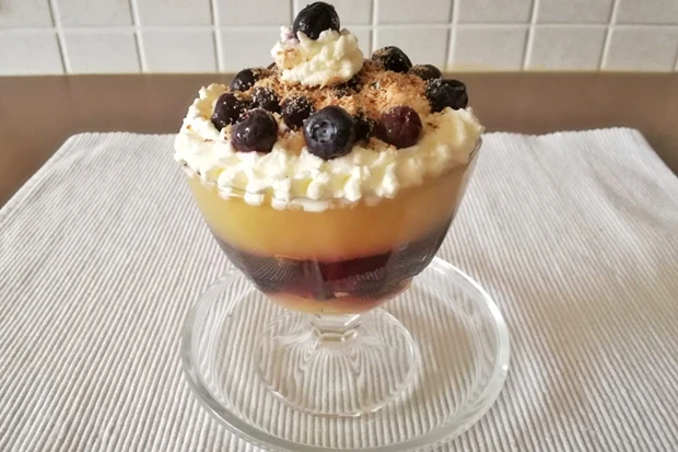 Kokos-Vanille-Pudding mit Schwarzbeeren
