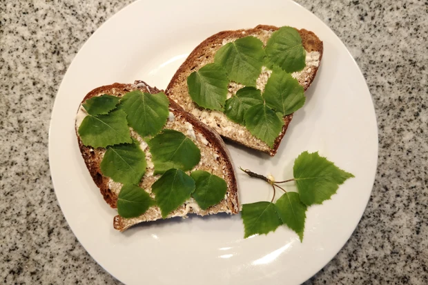 Birkenbl&auml;tter Butterbrot
