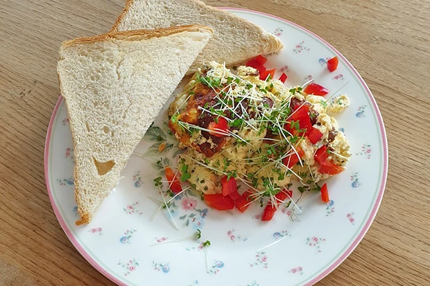 Frischkäserührei