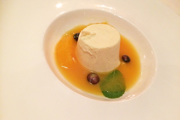 Panna Cotta mit Orangensauce