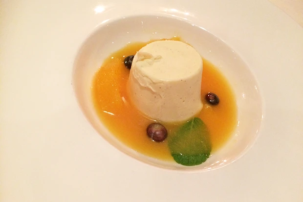 Panna Cotta mit Orangensauce