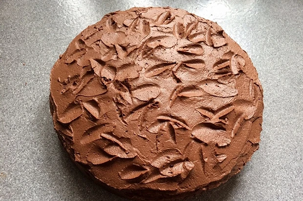 Schoko-Nuss-Torte mit Schokocreme