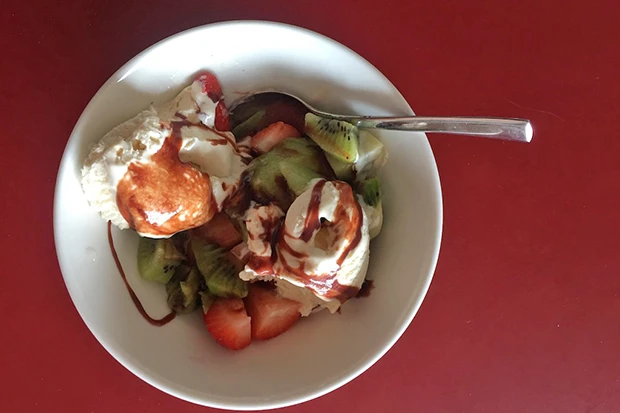 Fr&uuml;hlingseisbecher mit Kiwi und Erdbeeren