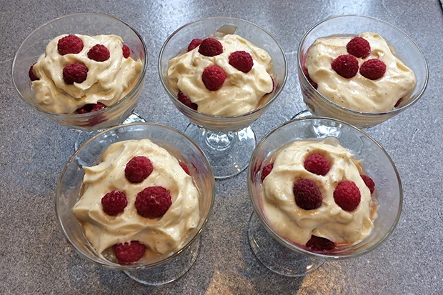 Himbeer-Schicht-Dessert