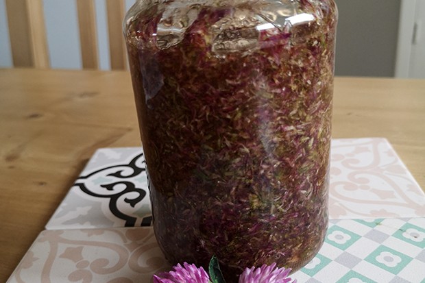 Rotklee Marmelade