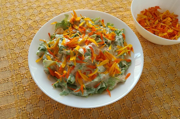 Grüner Salat mit Marillendressing