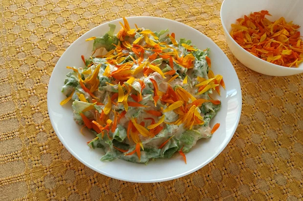 Gr&uuml;ner Salat mit Marillendressing