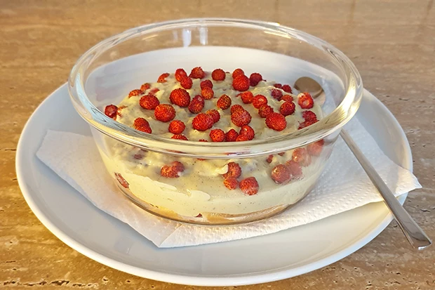 Walderdbeer-Vanille Dessert