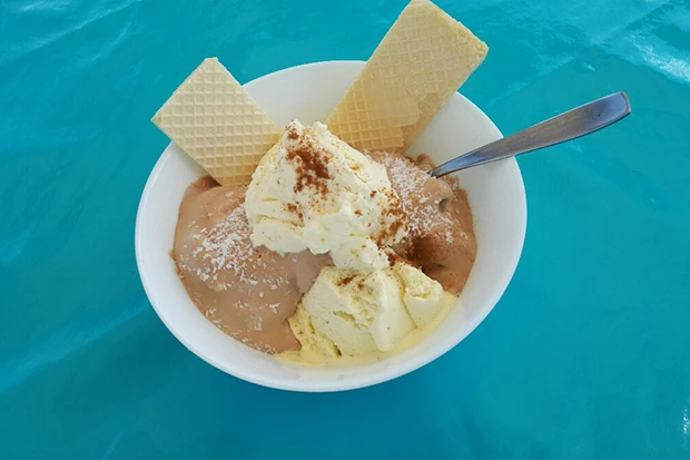 Vanilleeis mit Carob und Kokos
