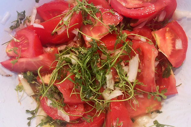 Tomatensalat mit Kresse