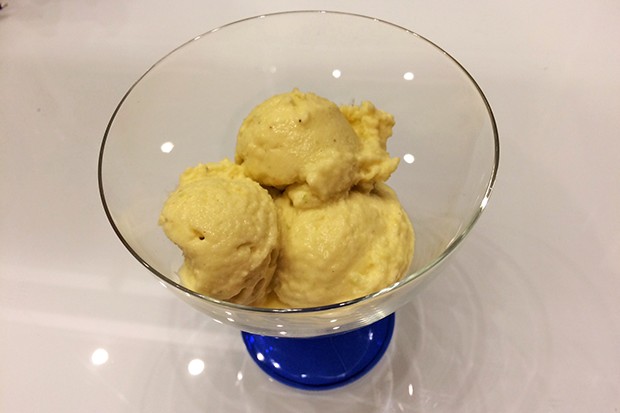Mangoeis aus der Eismaschine