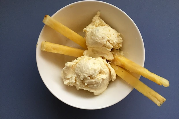 Selbstgemachtes Ananas-Kokos-Eis