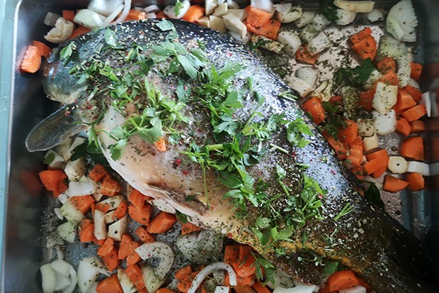Spiegelkarpfen gebacken