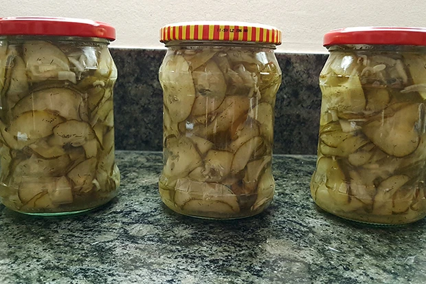 S&uuml;&szlig;-Sauer eingelegter Gurkensalat