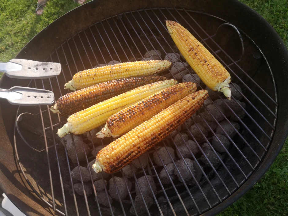 Kukuruz gegrillt