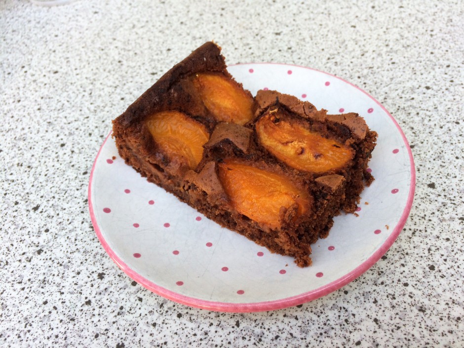 Schokolade-Marillenkuchen