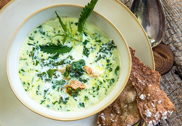 Wildkräutersuppe mit Schüttelbrot
