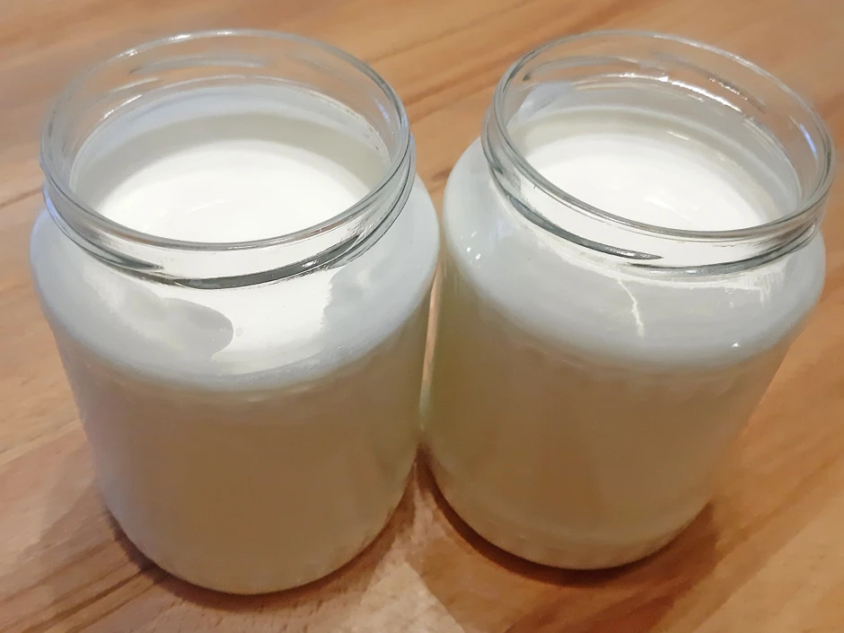 Joghurt aus dem Dampfgarer