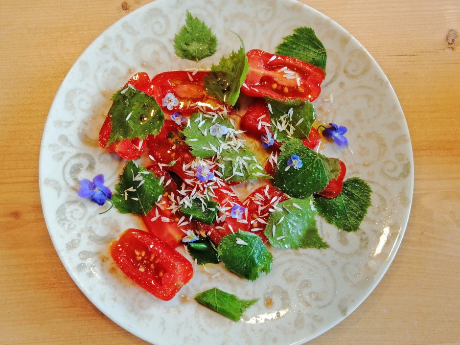 Birkenblätter Salat