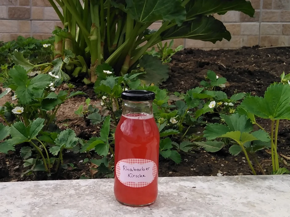 Rhabarber-Kirsch-Sirup