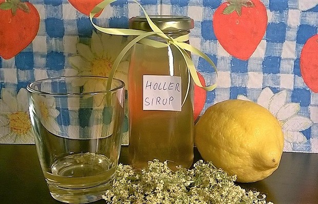 Holunderblütensaft Rezept