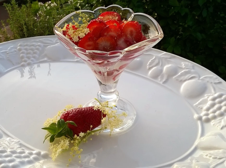 Holundertopfen mit marinierten Erdbeeren