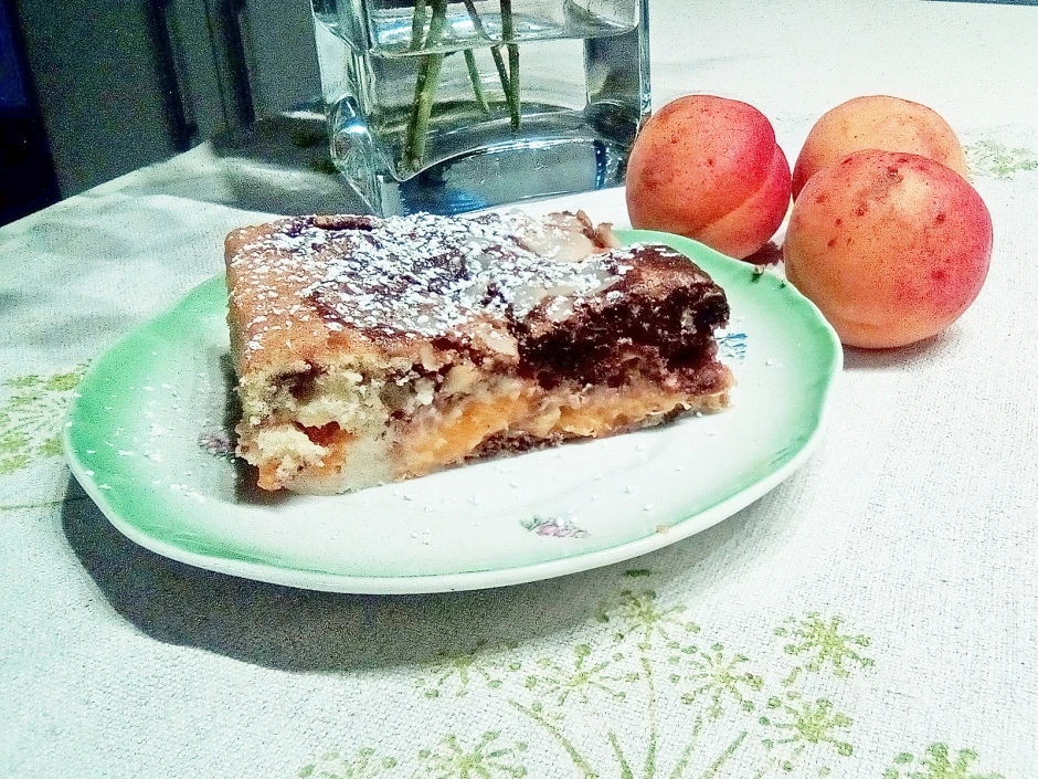 Saftiger Marillenkuchen