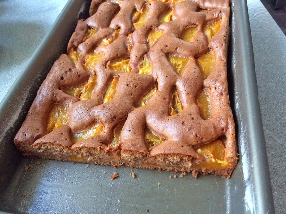 Schoko-Marillenkuchen