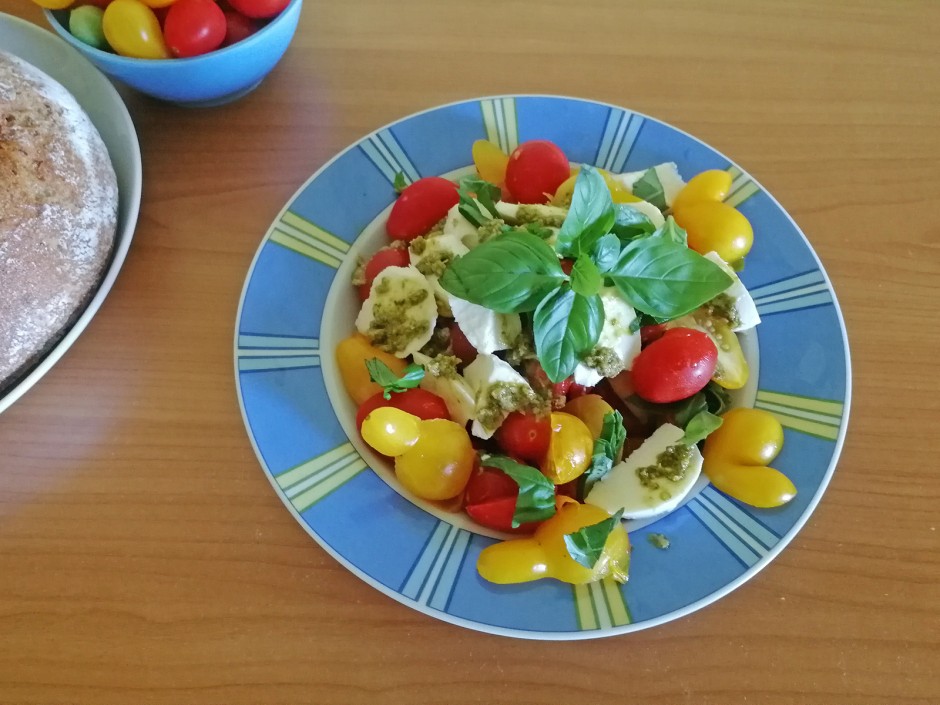 Paradeis-Mozzarella mit Basilikumpesto