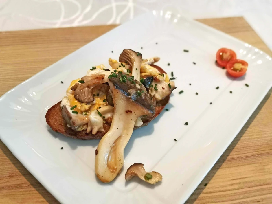 Kr&auml;uterseitlinge auf Eierspeisbrot