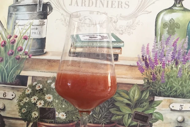 Erdbeer-Holunderbl&uuml;ten-Smoothie