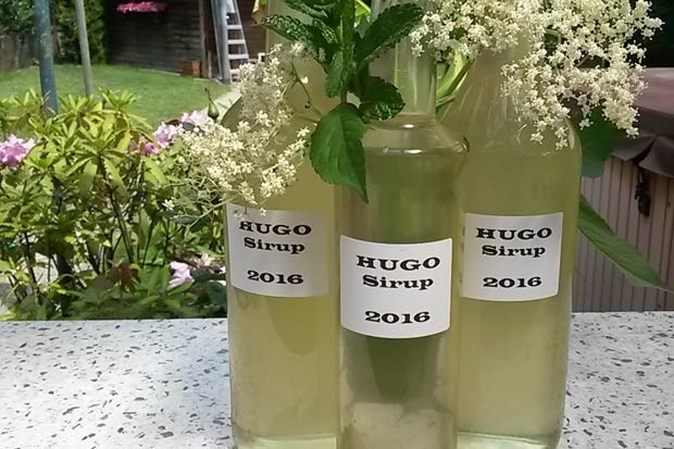 Hugo-Sirup
