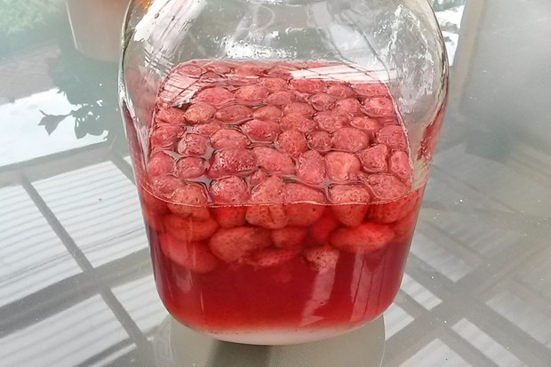 Erdbeerlikör