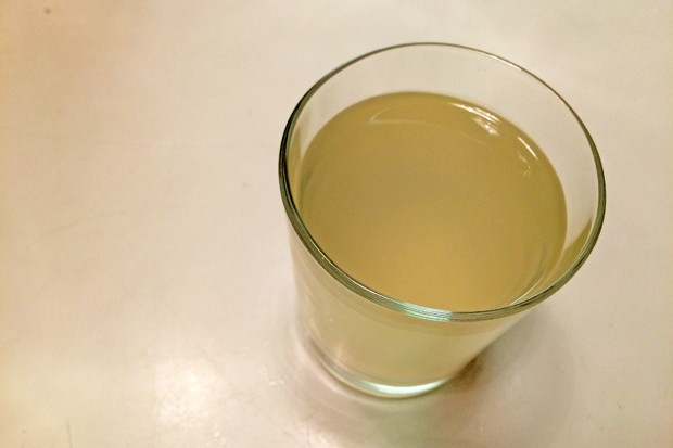 Holundersirup