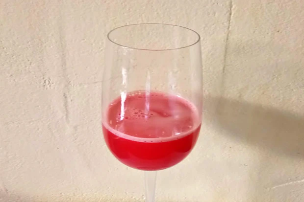 Watermelon Wine-Slushi