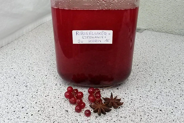 Ribisellik&ouml;r mit Sternanis und Korn