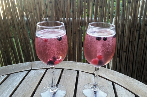 Sommerlicher Beerenspritzer