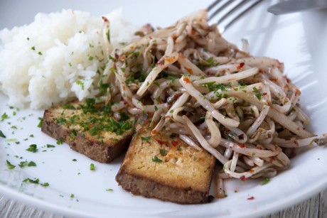 Tofu mit scharfen Sojasprossen