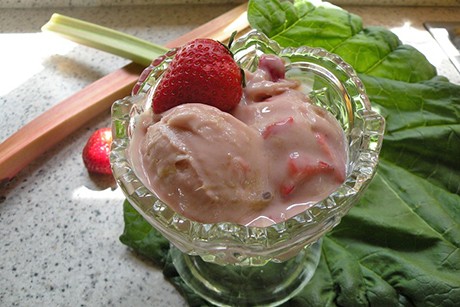 Rhabarber-Erdbeer-Eis