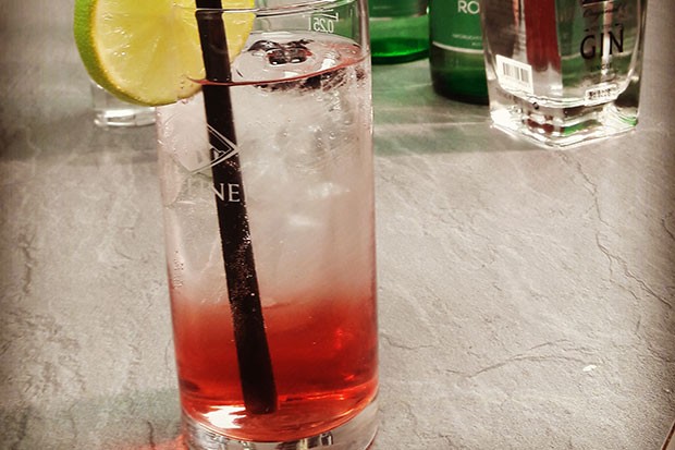 Schiler-Gin