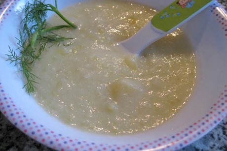 Fenchel-Kartoffel-Schaum