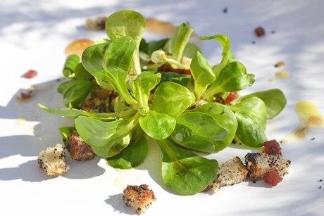 Vogerlsalat mit Mohnwürfeln