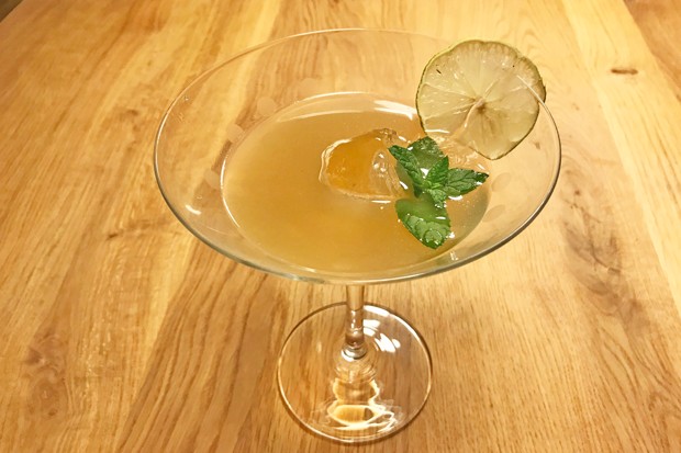 Gin Sour Style