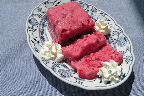 Ribisel-Joghurt-Terrine